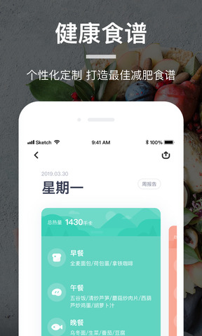 薄荷营养师app