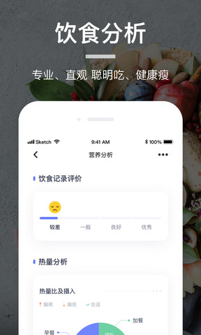 薄荷营养师app